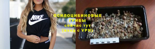 спиды Абдулино
